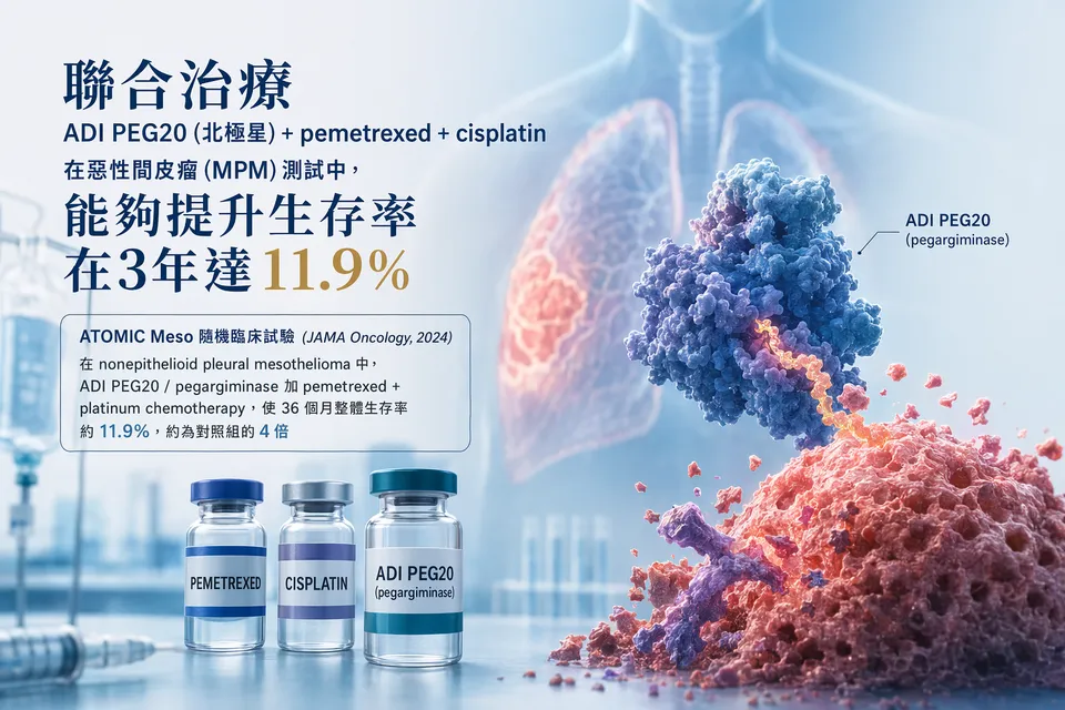 "聯合治療 ( ADI PEG20 (北極星) + pemetrexed + cisplatin )在惡性間皮瘤 (MPM)測試中， 能夠提升生存率在3年達11.9%"提供以上的來源證明。